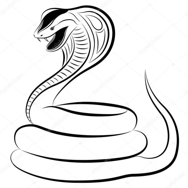 被眼镜王蛇毒液喷到,需要立即就医吗?