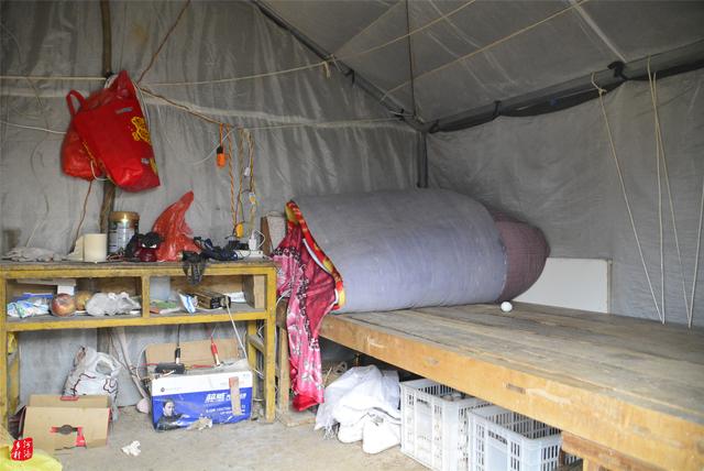 在家怎么养鸡最简单 92046fdb8b6c49b38cc6609a72d9be46.jpeg