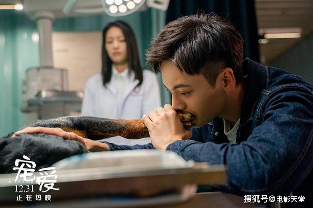 一个故事一段人生完整 92cada4f81cb4b57aec761459094999f.jpeg