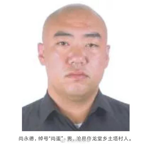 沧州警方打掉一个犯罪团伙,现征集违法犯罪线索
