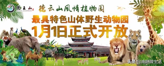南阳千亩野生动物园开业看动物赏民俗观灯海吃美食太嗨了