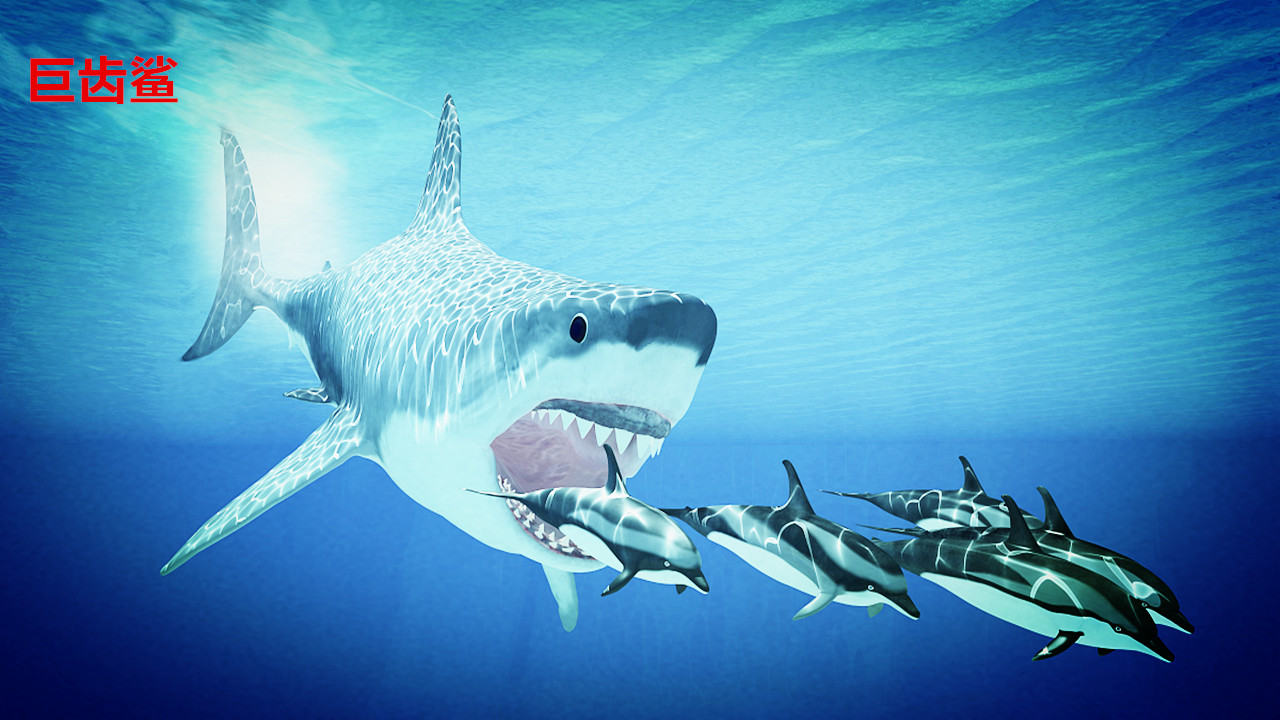 史前文化地球上最凶猛的7种鲨鱼其中超半数已在史前灭绝
