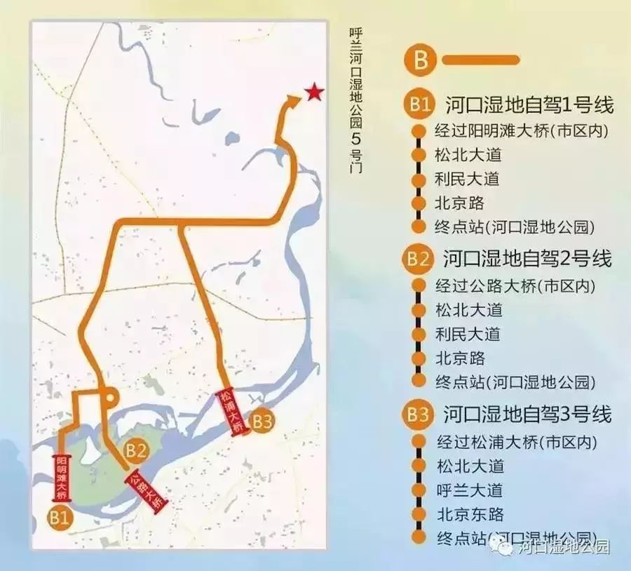 2017全世界有多少人口_北流隆盛镇有多少人口(2)