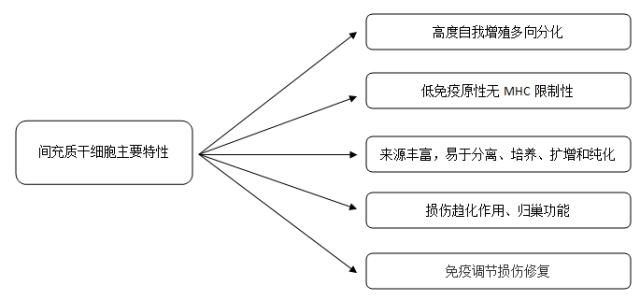 哮喘的原理_既然知道了哮喘的发病机制,我们就一步一步来看看都可以怎么治疗   首先,哮喘是(3)