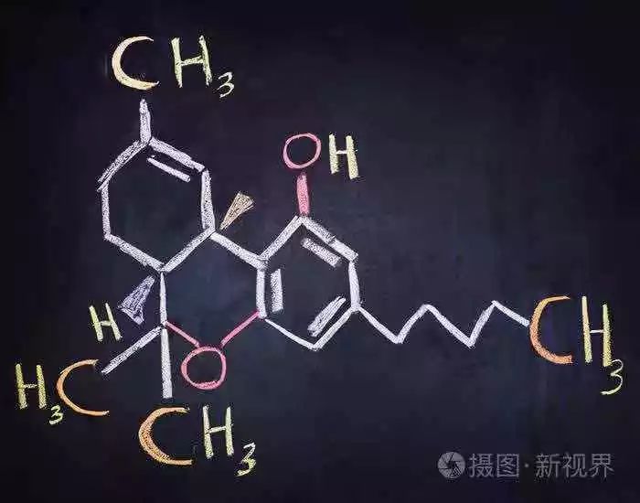 对于合成大麻素你了解多少呢