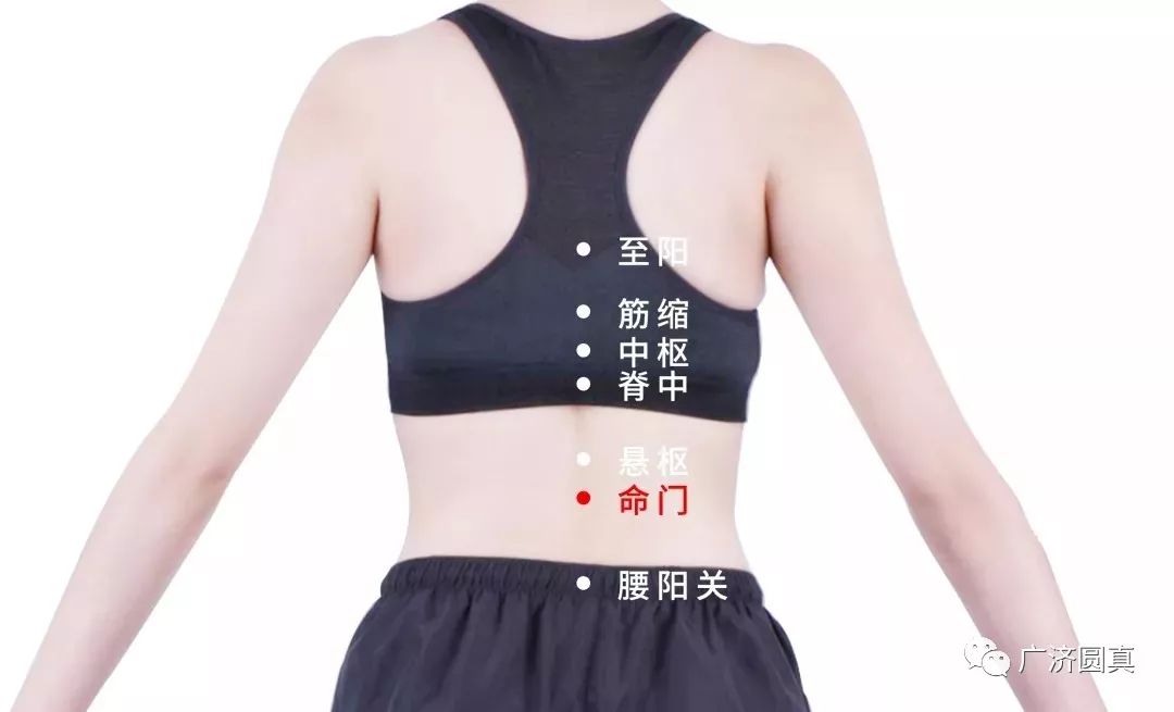 松紧带怎么调紧上衣 d316ec763a13496fb3e9fe63a72add73.jpeg