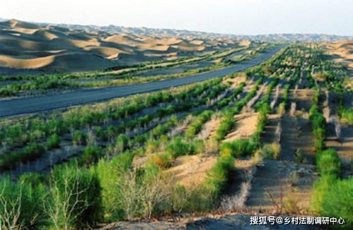 甘肃沙漠多少亩 d7f7b5e9dc294e11994aef5a8ee6ea38.jpeg