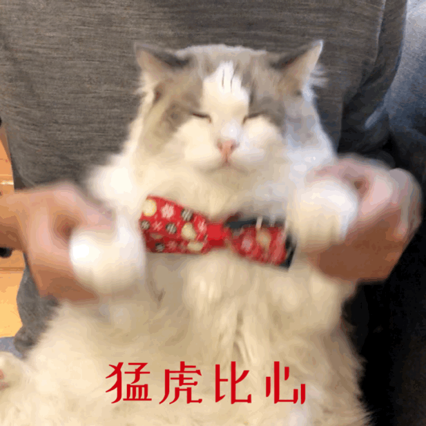 617_617gif 动态图 动图