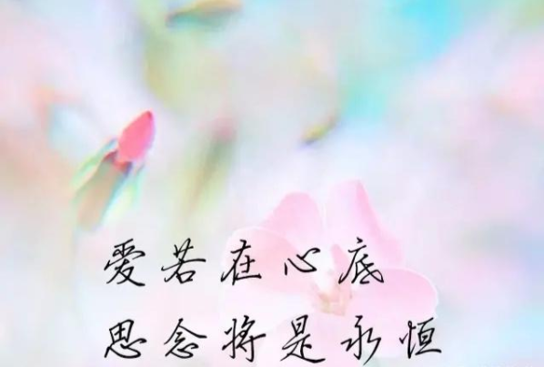 e1569c0b3a5d4029bfa99bff5ab40669.png