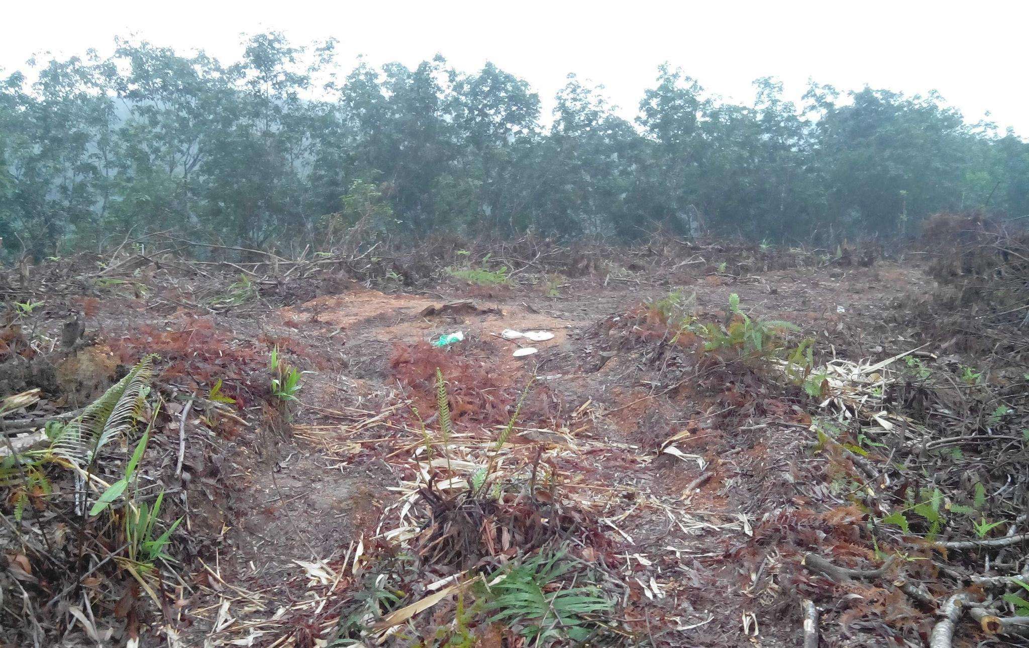 地力人口_爱克达阿地力江(3)