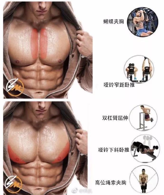 上胸中胸下胸中縫及外沿 健身減肥達人 第5张