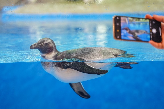 三亚十大亲子酒排名_2016三亚旅游大小事丨做“爆款”亲子游的欢乐之路(2)