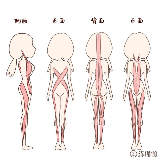 基础金刚坐每天跪跪膝能让你越坐越苗条