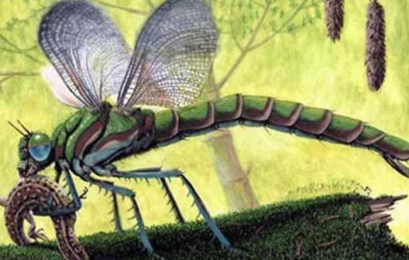 现在怎么看不到蜻蜓了呢 f9e1600cfdb44bd481bf47de6199013c.png