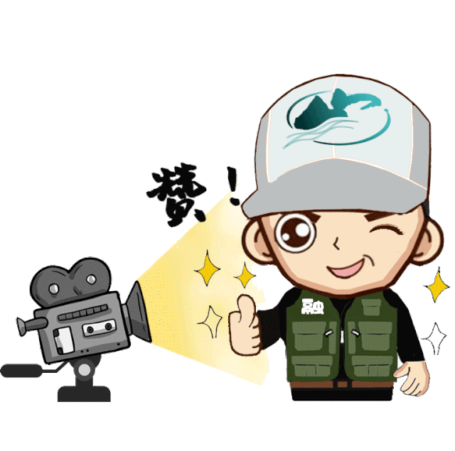 【重磅】速围观!为我区