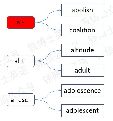 词根词缀法巧记考研英语词汇:词根al (长大)