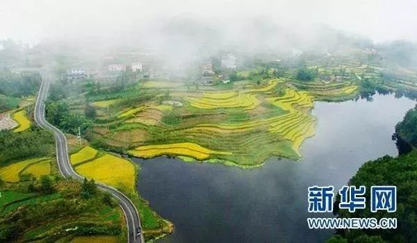 晨曦度假村人均消费_晨曦森林公园度假村(3)