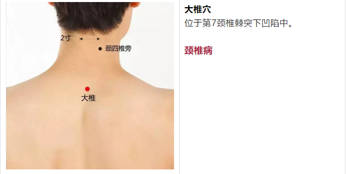 补肾最快的穴位图 13dc080506e34c6ab5fb24332dfed7c4.png