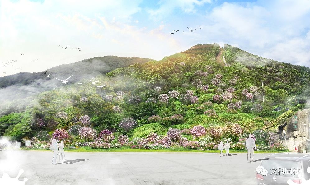 文章配图-21