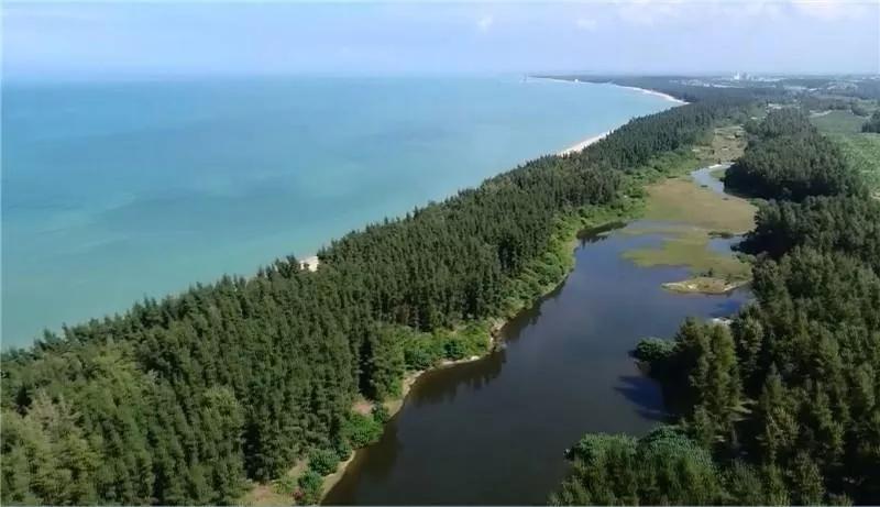 海尾湿地公园