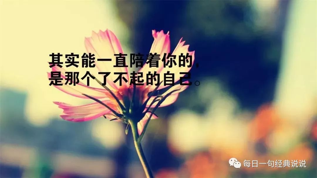 24cee38c402940a2b32f4b05a6c0b880.jpeg
