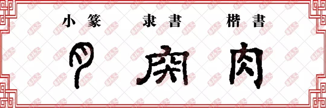 因为"肉"字的小篆体和"月"字的小篆体十分相似,最后在书写上把它们混