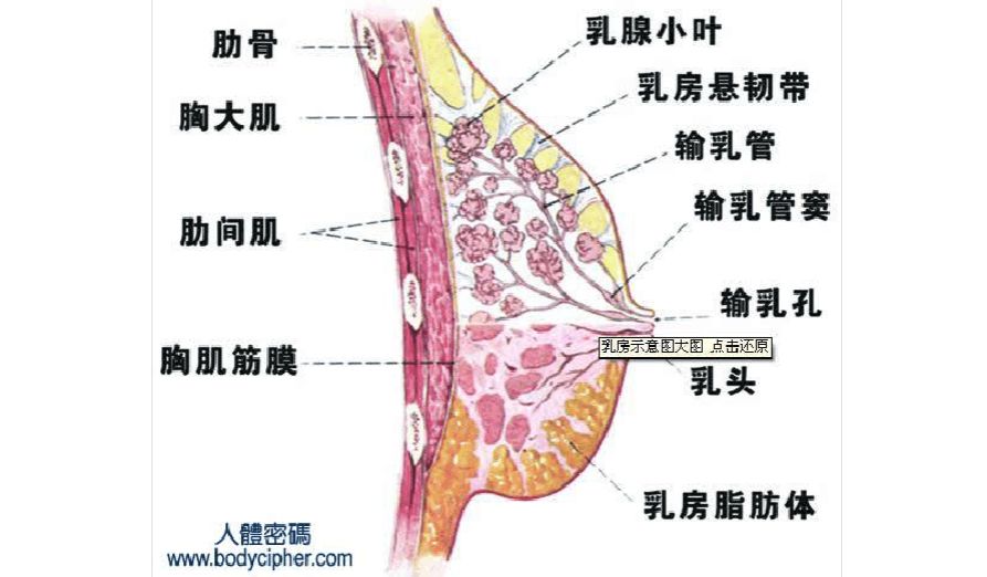 39cb6bd478e840bb89df910b17aaa4a8.jpeg