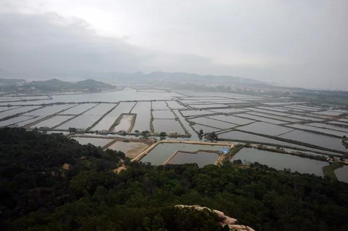 【清漳菁萃】丨梅岭佳景多