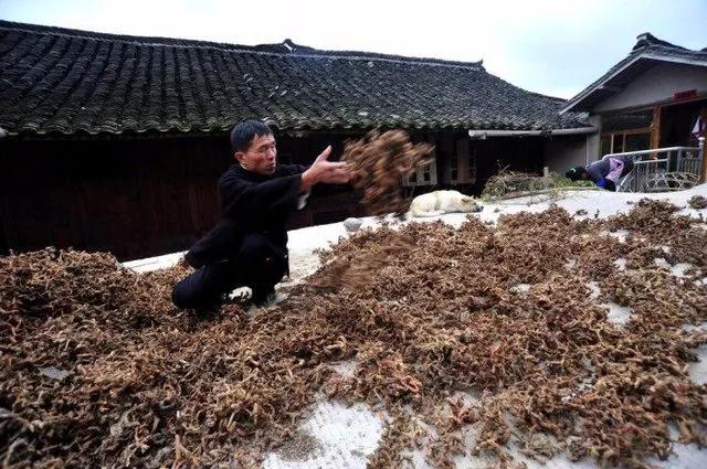 王增世大山深处的传奇赤脚苗医