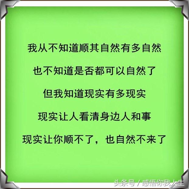 见什么若惊成语_成语故事图片(3)