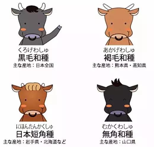 日本和牛怎么吃