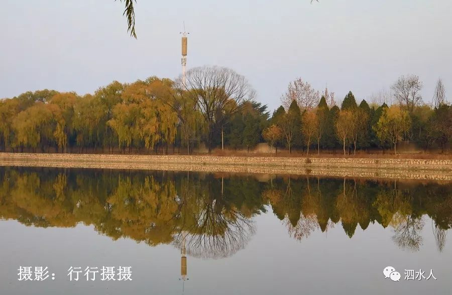 实拍你走过山东泗水的这条河吗2020她的两岸将发生大变化