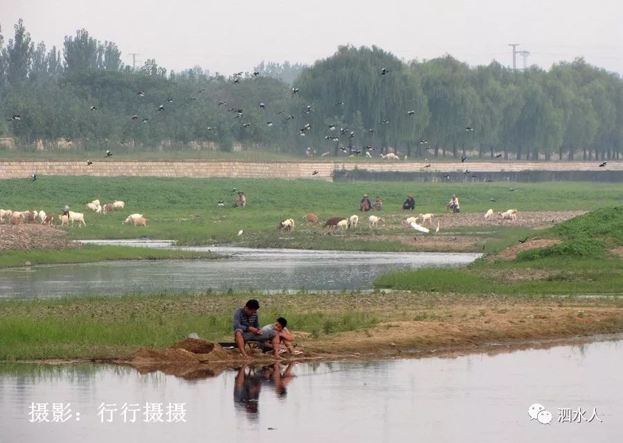 实拍你走过山东泗水的这条河吗2020她的两岸将发生大变化