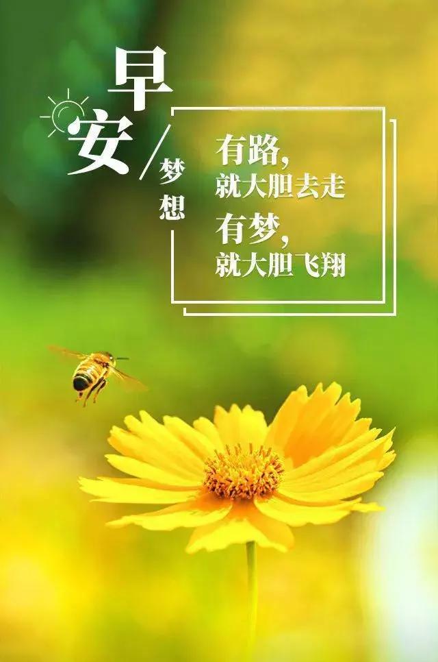 如何做到真正的坦然面对 7d41729d266f4f43b9efdde63f4d1db8.jpeg
