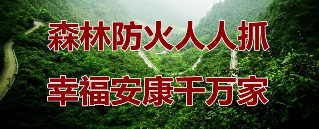 告 为切实保护我县森林资源和人民群众生命财产安全,维护森林生态安全