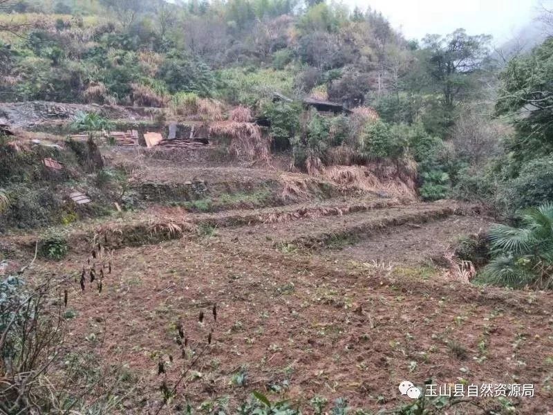 2020玉山镇GDP_台湾玉山图片(2)
