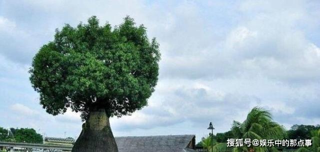 8b33804e7e874f3098d27c64b8b3070e.jpeg