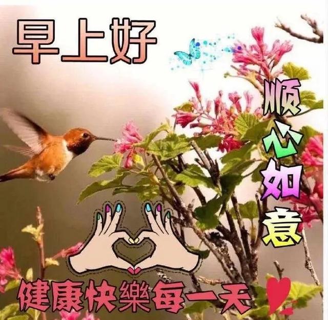 清晨阳光照在身清晨微风吹你脸愿您吉祥安康早上好