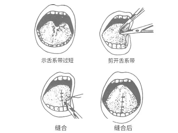a29cdcec6b3b400189dbb22e2e23e332.jpeg
