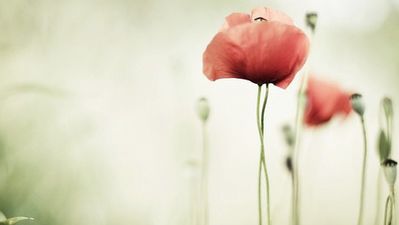 a4fe15a6640f4317b8ad92d786bdac9d.jpeg