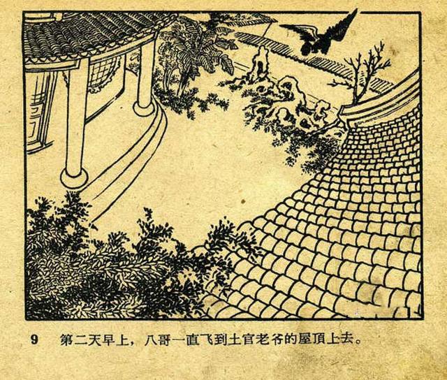 老版民间故事八哥杨久华绘