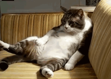 b1890aaa8aba40fc8eb6d98c84a65ed9.gif