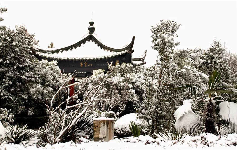 《雪语八宝亭》朱汝梅摄《纵棹园雪景》朱汝梅摄《踏雪童年》朱汝梅摄