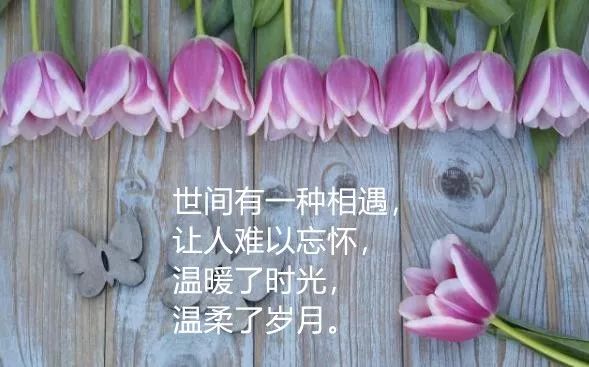c4cf9fbe63db476abc402f9fcff30311.jpeg