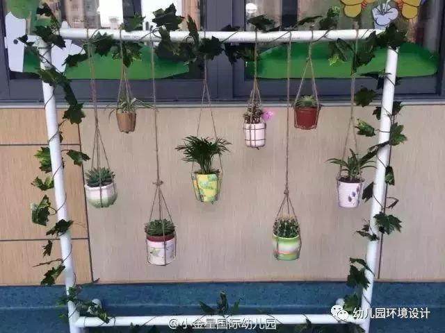 幼儿园植物角不是摆设让创意与互动飞起来环创分享