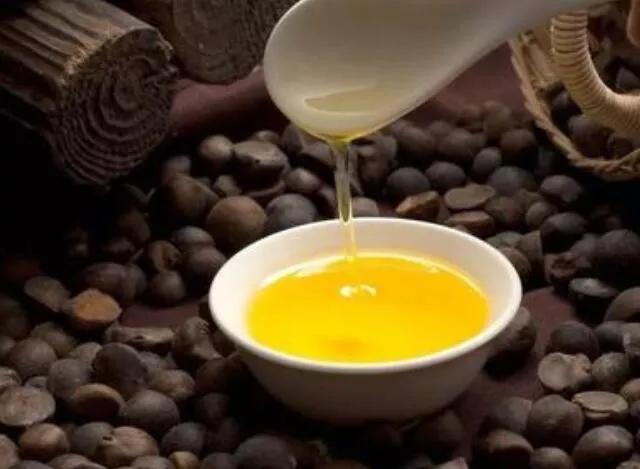 迎銮贡野生山茶油升华了流行回家吃饭的主题山茶油是更懂妈妈的油