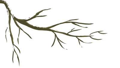 d9fe7cda11974ea5a62203adcd06c7db.png