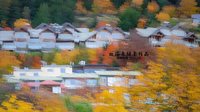 怎么把照片拍出油画的效果 e66f22005579431bbfbd7398198fa1cb.jpeg