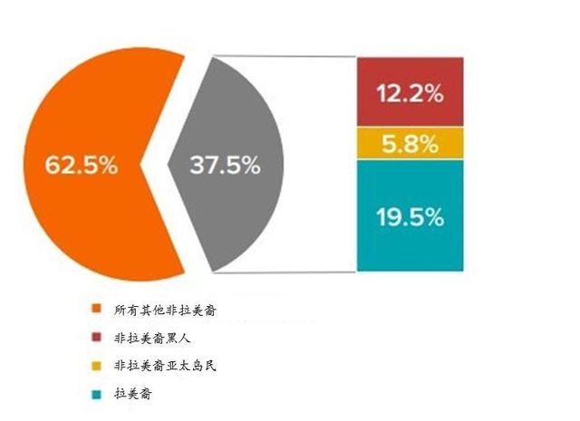 2020美国各族裔人口_美国族裔分布图(2)