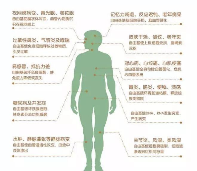 自由基的危害有多少种 ed7ec64bd69a428eb8377589c2e02c17.jpeg